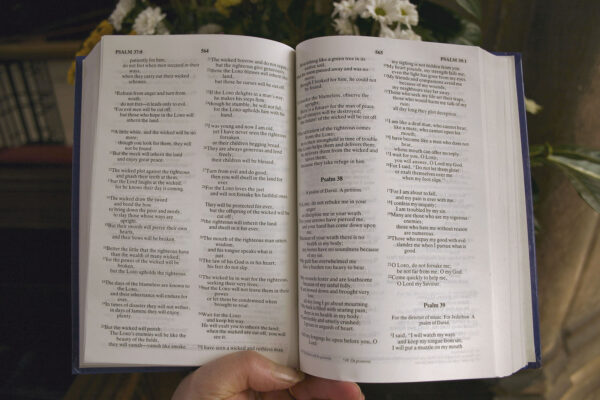 psalms in bible